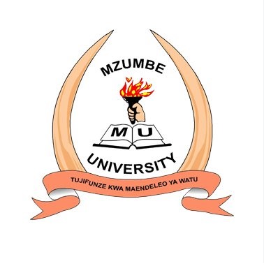 Nafasi za kazi Mzumbe University December 2025