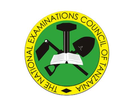 Matokeo ya darasa la nne 2025 SFNA Results NECTA 2025